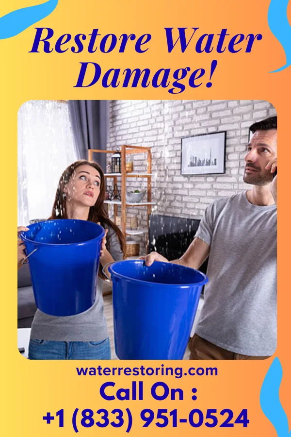 water restoration Elite Water Damage Experts Pleasant Valley