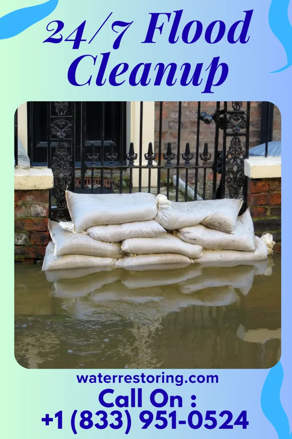 24/7 Flood Cleanup in Pleasant Valley, TX