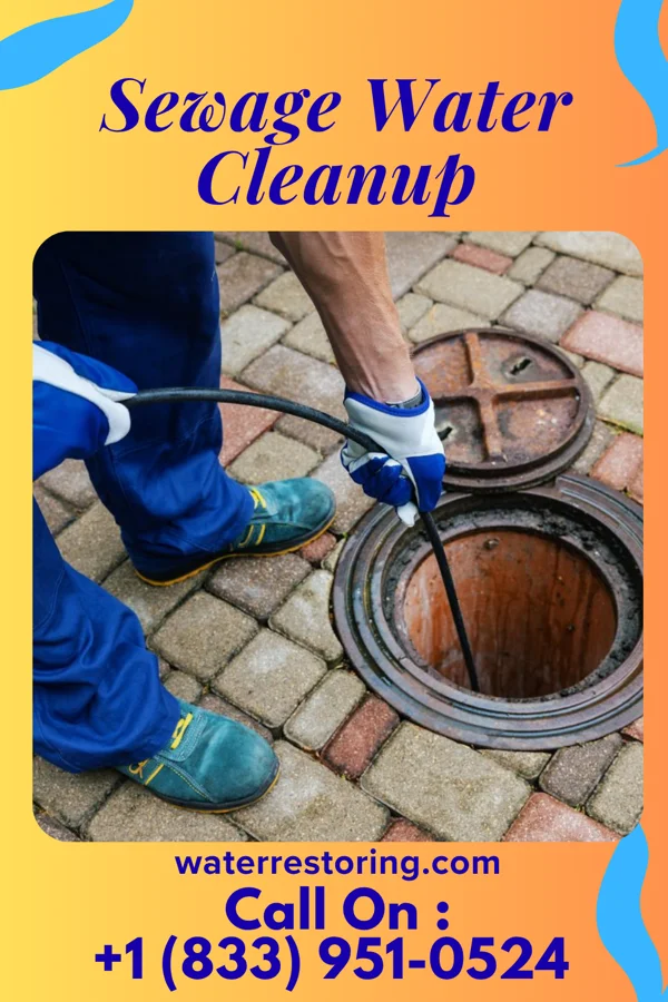 Sewage Water Cleanup in Pleasant Valley, TX