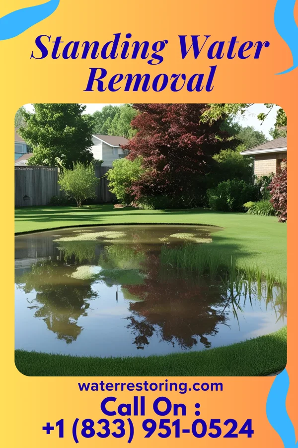 Standing Water Removal in Pleasant Valley, TX